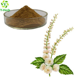 Free Sample Triterpenoid Saponins Rhizome Powder 2.5% 5% 8% Black Cohosh Extract