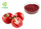 Natural  Fermentation Tomato Extract Lycopene Powder 5% 10% Water Soluble