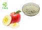 Red Green Apple Powdered Fruit Juice Concentrate Spray Drying Ingredients